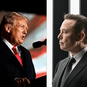 Elon Musk And Donald Trump Discuss Crypto Policy, Which Tokens Could Benefit The Most?
