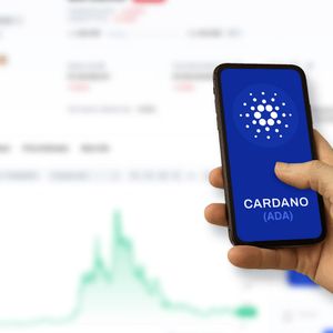 Crypto Market Surges As Solana and Cardano Struggle To Breakout, While KangaMoon Surge After New Announcement