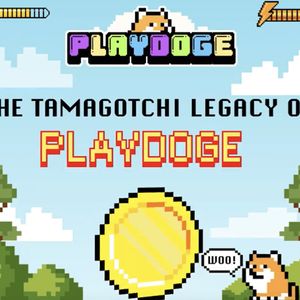 Fastest Growing Crypto ICO PlayDoge Nears $5M Raised - Best Meme Coin to Buy?