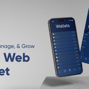 Jaxxify Web Wallet – wide functionality and efficient use
