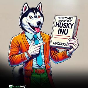 How to Get Your Hands on Husky Inu ($HINU)