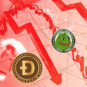 Top Meme Coins Crash But Experts Are Still Bullish On These New Crypto Tokens