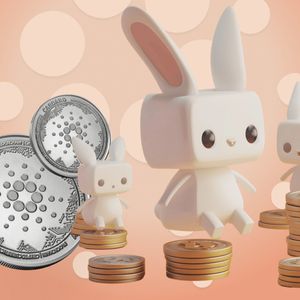Meme Coins Bome and Raboo Outperform Cardano, Will the Triumph Continue Across August?