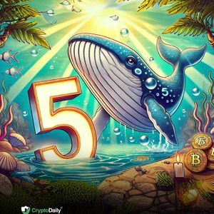 Crypto Whales’ Bullish Bets: 5 Altcoins They’re Stocking Up for the Next Upcoming Market Cycle