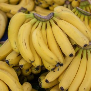 The TON Blockchain Goes Bananas, Giving Birth To The Best Tokenization Model In Gaming