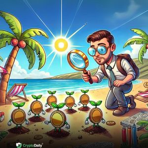 Small-Cap Summer: How to Identify Small-Cap Cryptos with Growth Potential