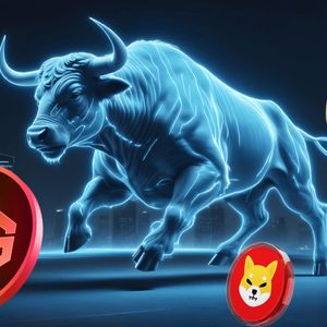 Why Did Dogecoin and Shiba Inu Fall So Hard from Their 2021 Peaks? Which Crypto Will Replace Them in the Next Bull Rally?