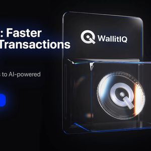 Do You Know That Bitcoin (BTC) Cannot Change $500 To $1 Million Again? Sign Up For The WallitIQ (WLTQ) Crypto Presale Instead