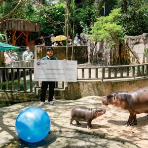 SUI meme $HIPPO enters into charity partnership with Moo Deng’s zoo