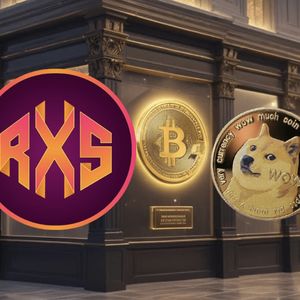 Forget Dogecoin (DOGE), This New Crypto Will Make DOGE's 2021 Rally Look Like a Joke