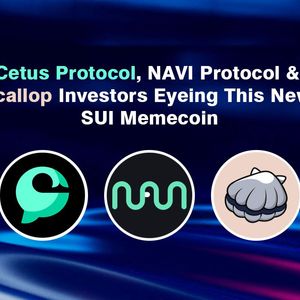 Cetus Protocol, NAVI Protocol & Scallop Investors Flock To Suirum, The New & Promising SUI Meme Coin