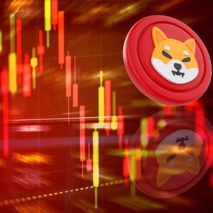 Shiba Inu Trader Says RCOF Will Skyrocket Like the Dogecoin Price in 2021, From $0.03 to $0.75 in 5 Months