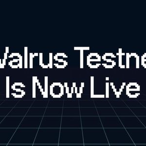 Decentralized Storage Protocol Walrus Launches Public Testnet