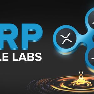 Exploring the Impact of Zig Network (ZIG) on Ripple (XRP) and Polkadot (DOT) Market Dynamics