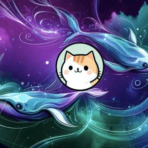 The Altcoins Whales Can't Get Enough Of These 3 Bullish Tokens For 2025 – Are You Missing Out?