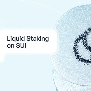 Liquid Staking on Sui Gets a Shake Up With New Token Standard From Suilend