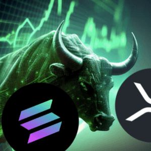 Solana and XRP Fail to Impress as Bull Run Stars—Here’s the Altcoins Set for Explosive Profits in Just 3 Months!