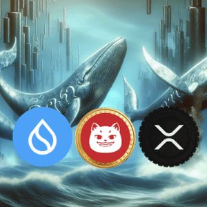 Crypto Whales Quietly Hoard SUI, XRP and CATZILLA — 6,500% Growth Potential on the Horizon!