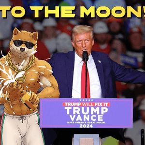 Meme Coin Frenzy as Trump’s Win Spurs DOGE Investors — 150,000x Potential!