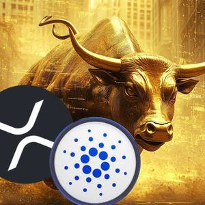 XYZVErse Predicted to Climb to $6 From $0.000667, With ADA and XRP Looking to Reach $3 by 2025!