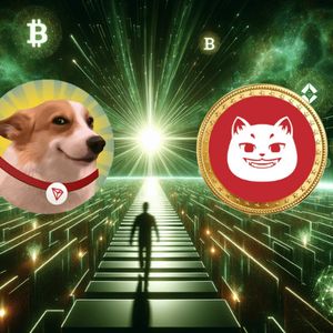 Catzilla Coin to Mirror SUNDOG's Breakout: Transform $1,000 Into $1 Million in the Next Year!