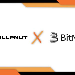 ChillPnut Announces CPNUT Token Presale And Bitmart Exchange Listing