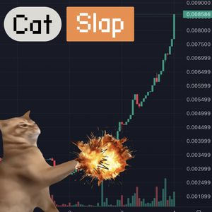 Crypto Prices Rise Again And Experts Watch Catslap, CAT and Popcat