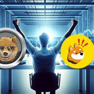 Market Insider Reveals DOGEN and BONK as the Top 2024 Memecoins to Watch for 12,500% Growth