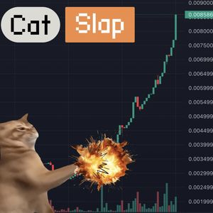 First Cat Coin Listing On Binance Spot, Is Catslap Next?