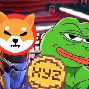 Massive Bull Run Ahead: New Polygon Meme Coin to Outshine Pepe and Shiba Inu