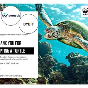 Bybit Supports Wildlife Conservation Through Sea Turtle Adoption Initiative with Subsum