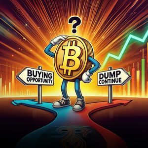 Is Bitcoin ($BTC) a Buying Opportunity or Will the Dump Continue?