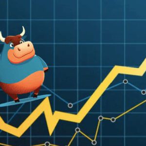 Bull Run Paused? Solana, Dogecoin, and XYZVerse Could Lead the Charge by 2025