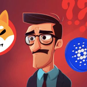 This Hidden Crypto Gem Attracts Shiba Inu and Cardano Fans With 9,600% Potential