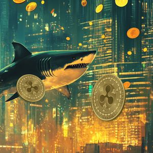 Ripple (XRP) and Chainlink (LINK) Whales Buy Into The Crypto Investors Are Calling “XRP 2.0”