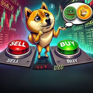 Dogecoin (DOGE), Pepe (PEPE), and Bonk (BONK) at Major Support Levels: Should You Buy Now?