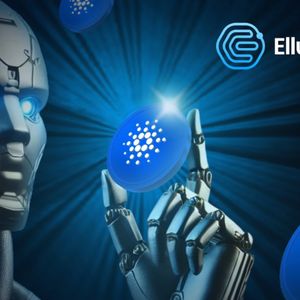 Cardano's 2021 Like Run May Not Happen Again, Take A Look At Elluminex Instead