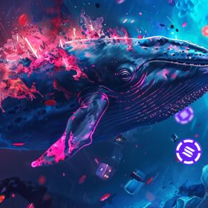 Solana Whales Relocate Funds Ahead of 11.2M SOL Token Unlock: Could This New Crypto Be Their Best Bet?