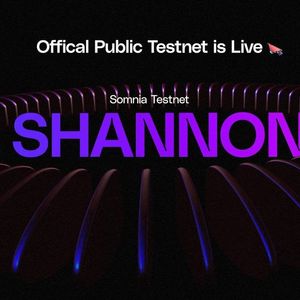 Layer 1 Blockchain Somnia Releases The Shannon Testnet After A Successful DevNet Testing