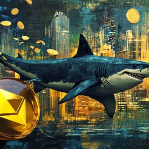 Why Are Bitcoin, Ethereum and XRP Crashing This Week? Remittix's 340% Gains Save Investors Portfolios