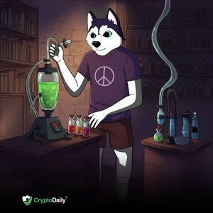 Husky Inu Or BONK: Which Meme Coin Offers Better Long-Term Potential?