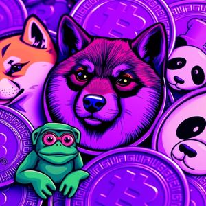 Dogecoin, Floki, and Beyond: Durag Doge Presale Charts a Course for Long-Term Crypto Success