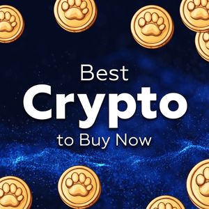 Best Crypto to Buy Now: Top 3 Picks for Immediate Growth