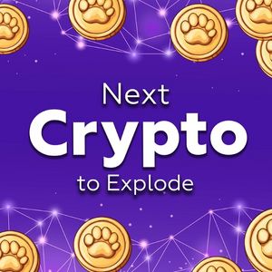 Next Crypto to Explode: Coins Gaining Momentum Right Now