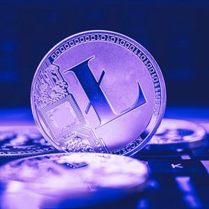 Why You Should Invest in Panshibi (SHIBI) and Litecoin (LTC) Now With Major Approvals on the Horizon!