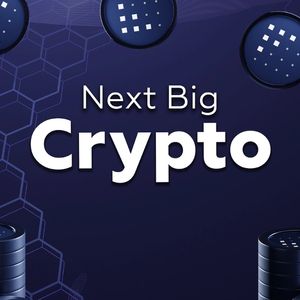 Next Big Crypto: 3 Projects That Could Become Industry Leaders