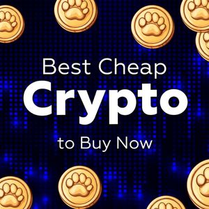 Best Cheap Crypto to Buy Now: Affordable Assets with High Potential