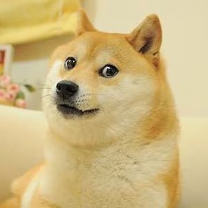 Dogecoin Price Prediction - Analyst Thinks DOGE Can Hit $2 In 2025