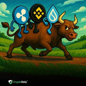 The best altcoin charts for this bull market: Ripple (XRP), Binance Coin (BNB), and Sui (SUI)