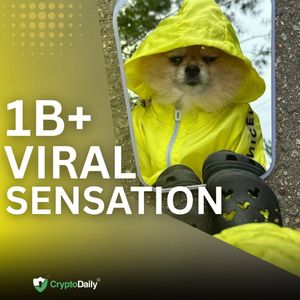 Meet KORI: The Viral 1-Billion-View Dog Fueling the Next Big Meme Coin on Solana